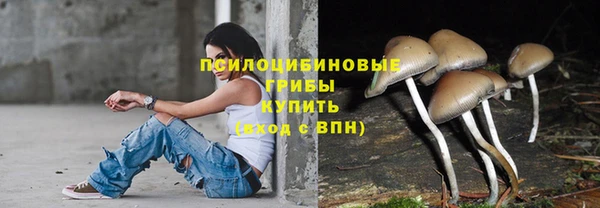 мескалин Верхний Тагил